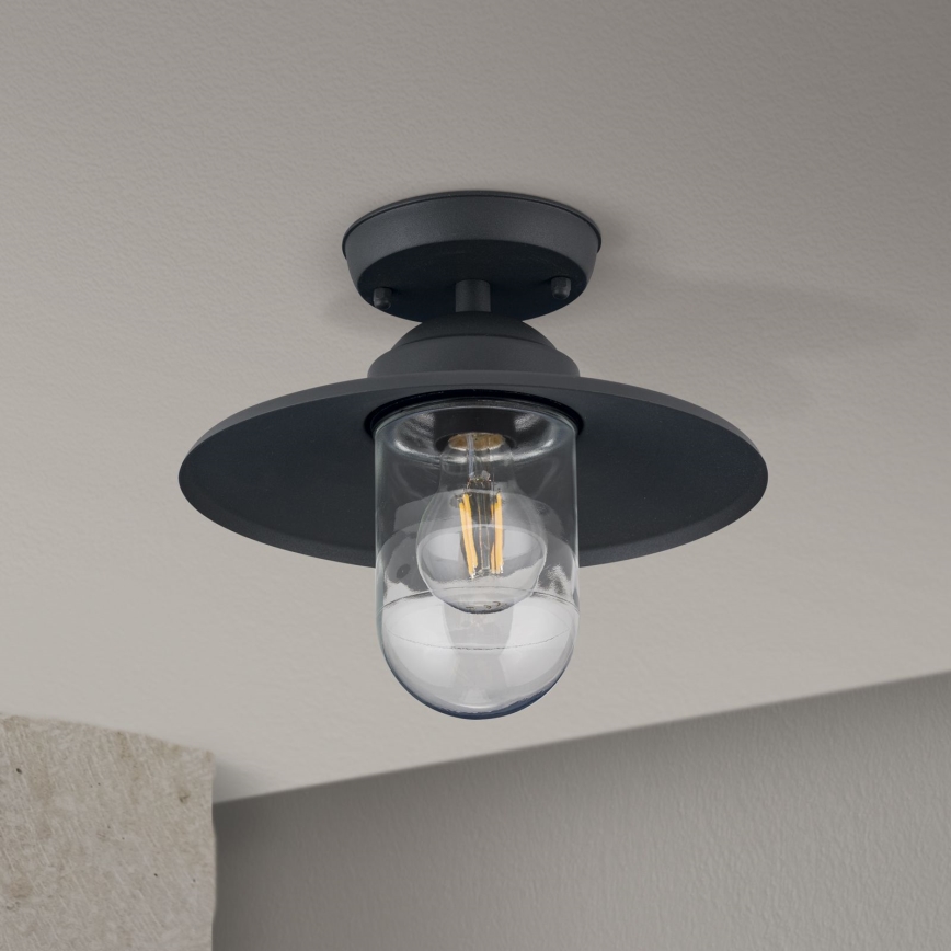 Vanjski nadgradni luster EDWARD 1xE27/60W/230V IP44 crna