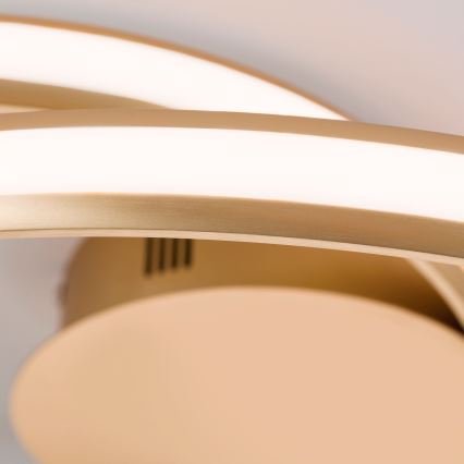 LED Dimmabilno stropno svjetlo CIRCUS LED/30W/230V zlatna
