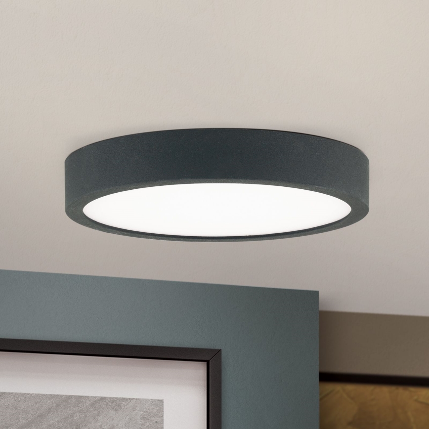 LED Stropna svjetiljka BULLY LED/12W/230V pr. 14 cm crna