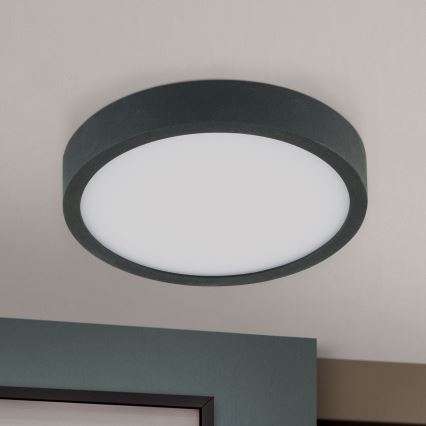 LED Stropna svjetiljka BULLY LED/12W/230V pr. 14 cm crna