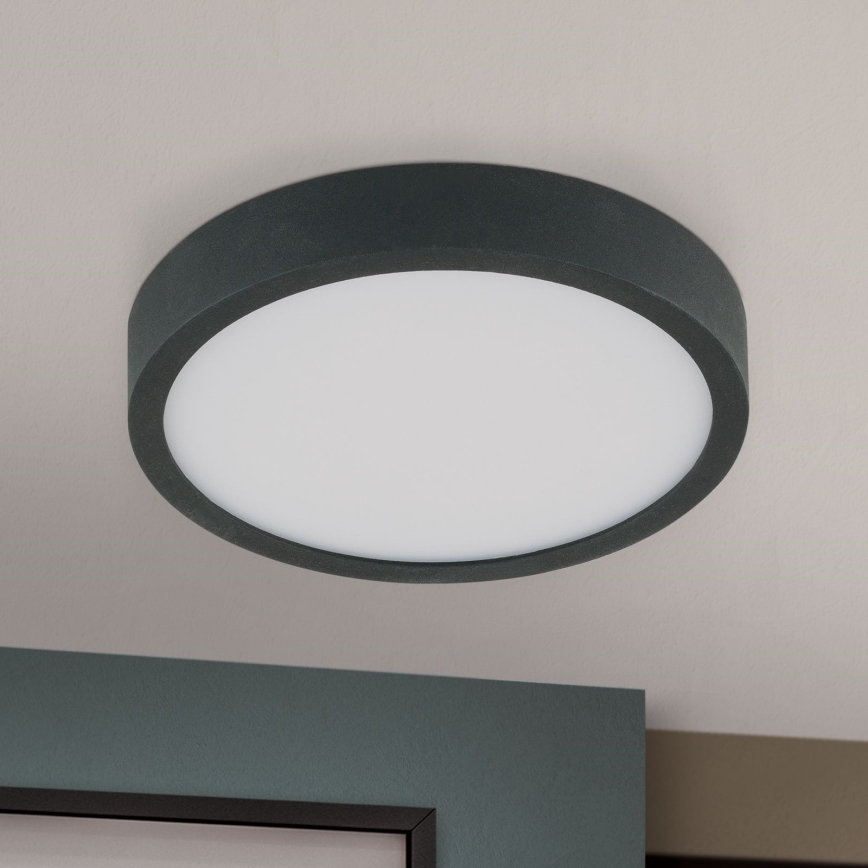 LED Stropna svjetiljka BULLY LED/12W/230V pr. 14 cm crna