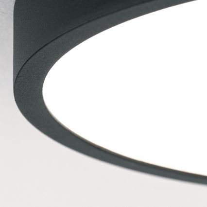 LED Stropna svjetiljka BULLY LED/12W/230V pr. 14 cm crna