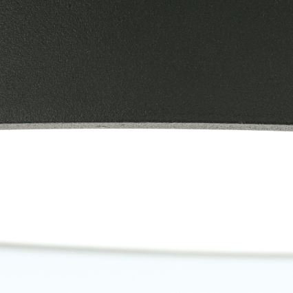 LED Stropna svjetiljka BULLY LED/12W/230V pr. 14 cm crna