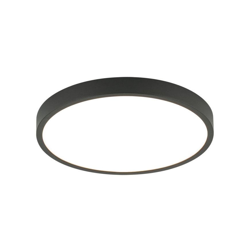 LED Stropna svjetiljka BULLY LED/24W/230V pr. 24 cm crna