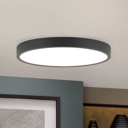 LED Stropna svjetiljka BULLY LED/24W/230V pr. 24 cm crna
