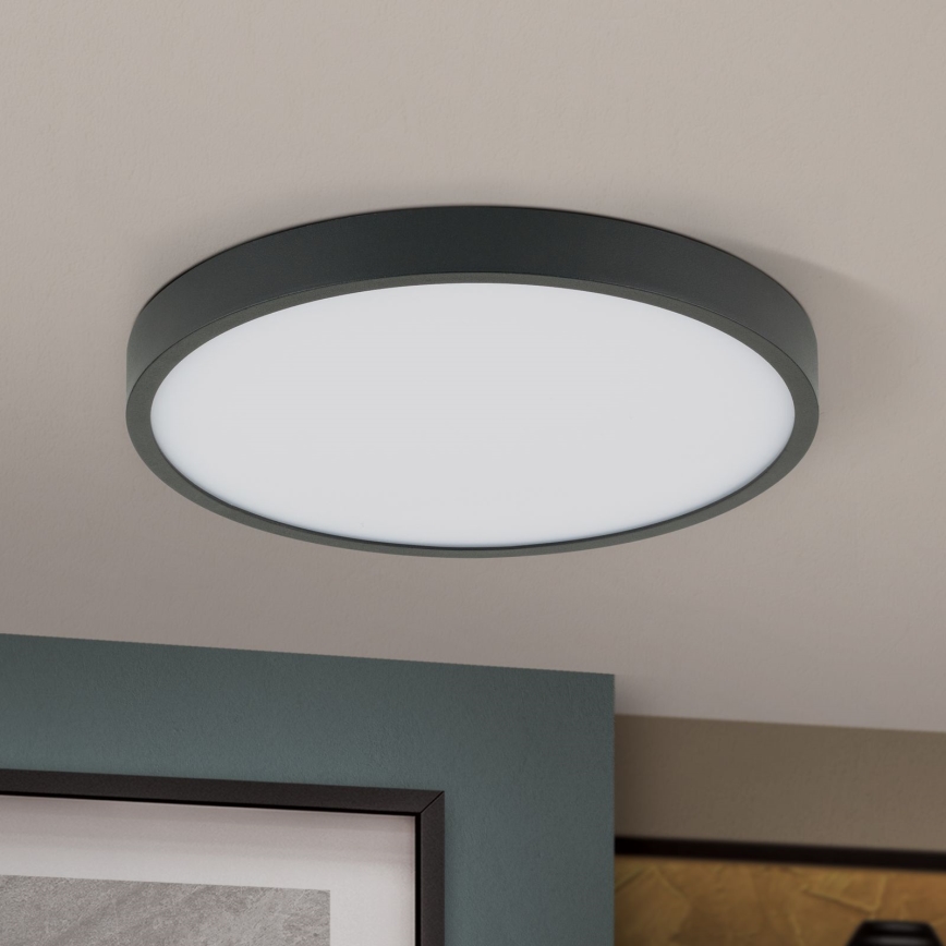 LED Stropna svjetiljka BULLY LED/24W/230V pr. 24 cm crna