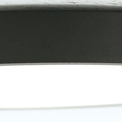 LED Stropna svjetiljka BULLY LED/24W/230V pr. 24 cm crna