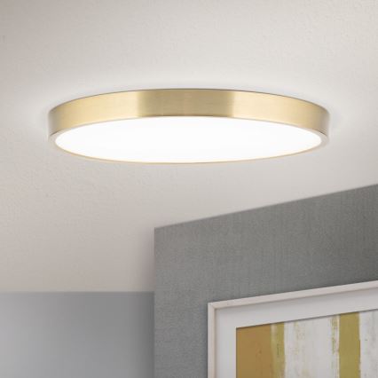 LED Stropna svjetiljka BULLY LED/28W/230V pr. 28 cm zlatna