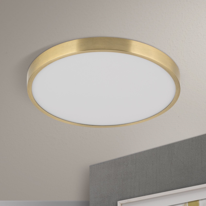 LED Stropna svjetiljka BULLY LED/28W/230V pr. 28 cm zlatna