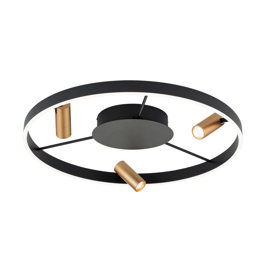 LED prigušivo stropno svjetlo BERLIN LED/50W/230V crno/zlatno
