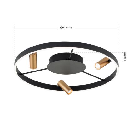LED prigušivo stropno svjetlo BERLIN LED/50W/230V crno/zlatno