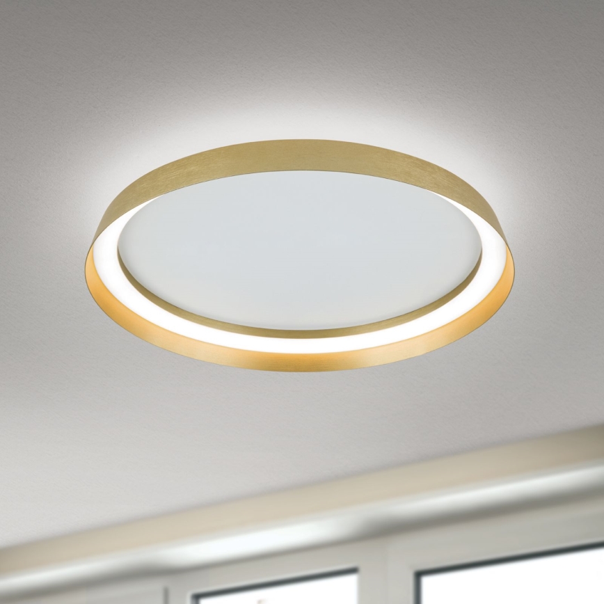 LED Prigušiva stropna svjetiljka MANTA LED/38W/230V 2700/3000/4000K pr. 45 cm zlatna