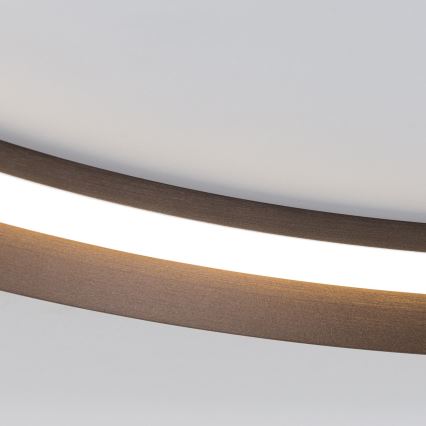 LED Prigušiva stropna svjetiljka MANTA LED/38W/230V 2700/3000/4000K pr. 45 cm smeđa