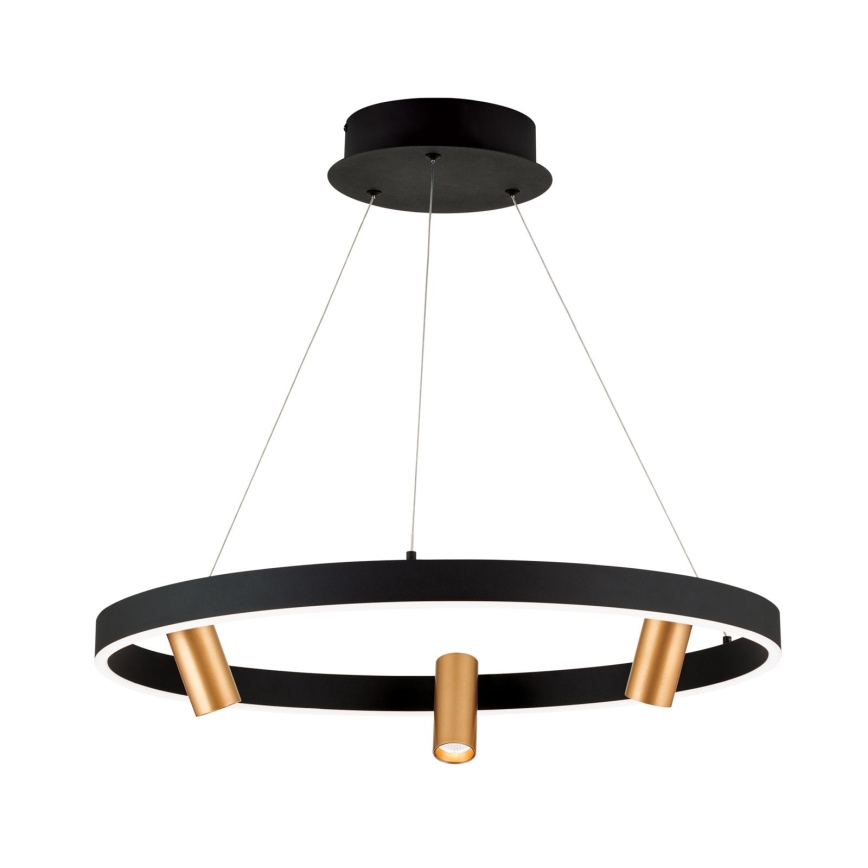 LED Prigušivi luster na sajli BERLIN LED/50W/230V crna/zlatna