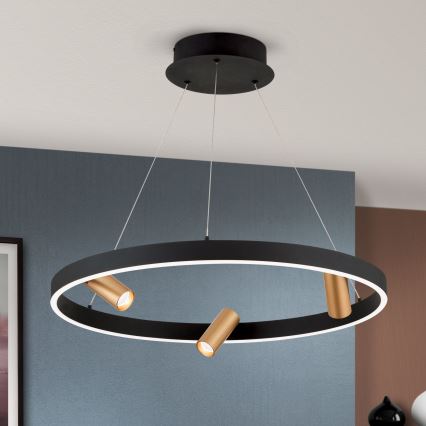 LED Prigušivi luster na sajli BERLIN LED/50W/230V crna/zlatna
