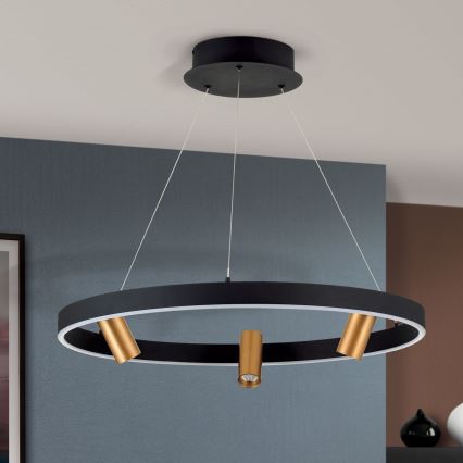 LED Prigušivi luster na sajli BERLIN LED/50W/230V crna/zlatna