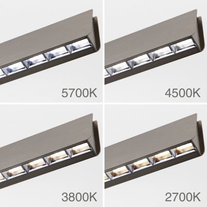 LED Prigušivi luster na sajli TARA LED/44W/230V 2700/3800/4500/5700K mat krom