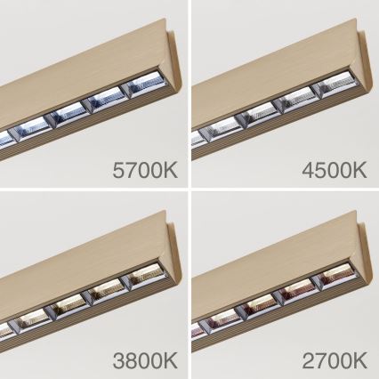 LED Prigušivi luster na sajli TARA LED/44W/230V 2700/3800/4500/5700K zlatna