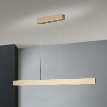 LED prigušivač luster na užetu TARA LED/44W/230V 2700/3800/4500/5700K zlatna