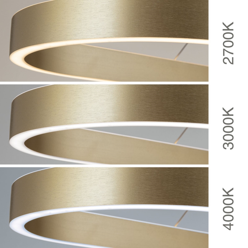 LED luster na sajli CARRARA LED/80W/230V 2700/3000/4000K zlatna