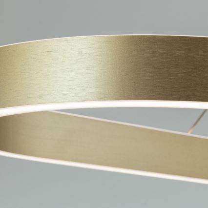 LED luster na sajli CARRARA LED/80W/230V 2700/3000/4000K zlatna