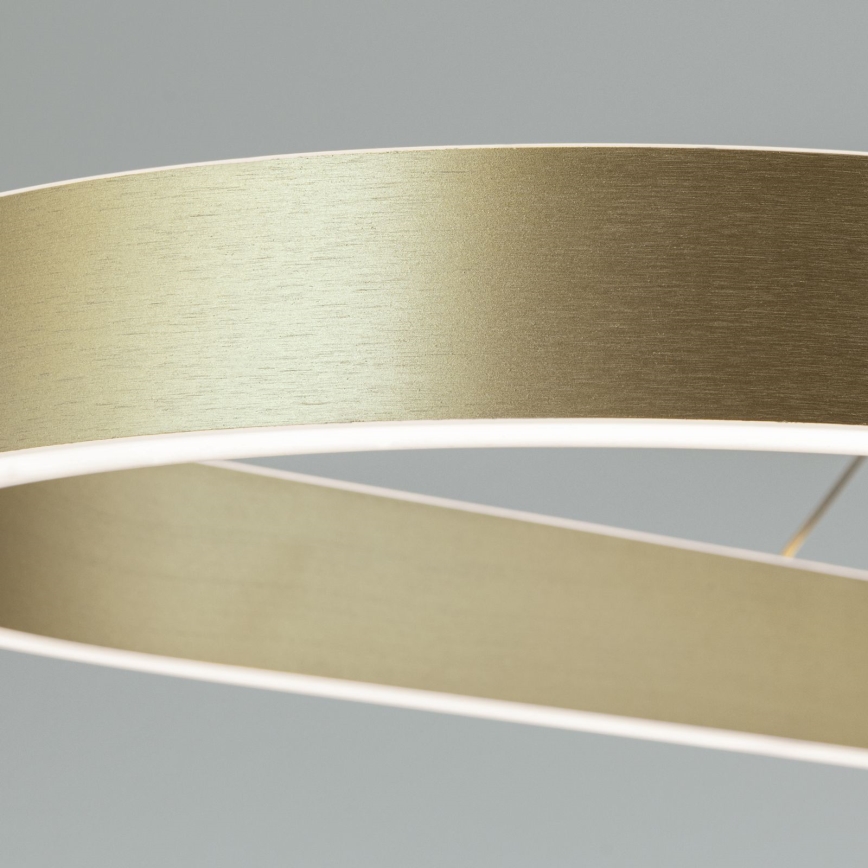 LED luster na sajli CARRARA LED/80W/230V 2700/3000/4000K zlatna