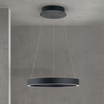 LED luster na sajli s funkcijom prigušivanja KOLK LED/40W/230V 2700/3000/4000K promjer 40 cm crna