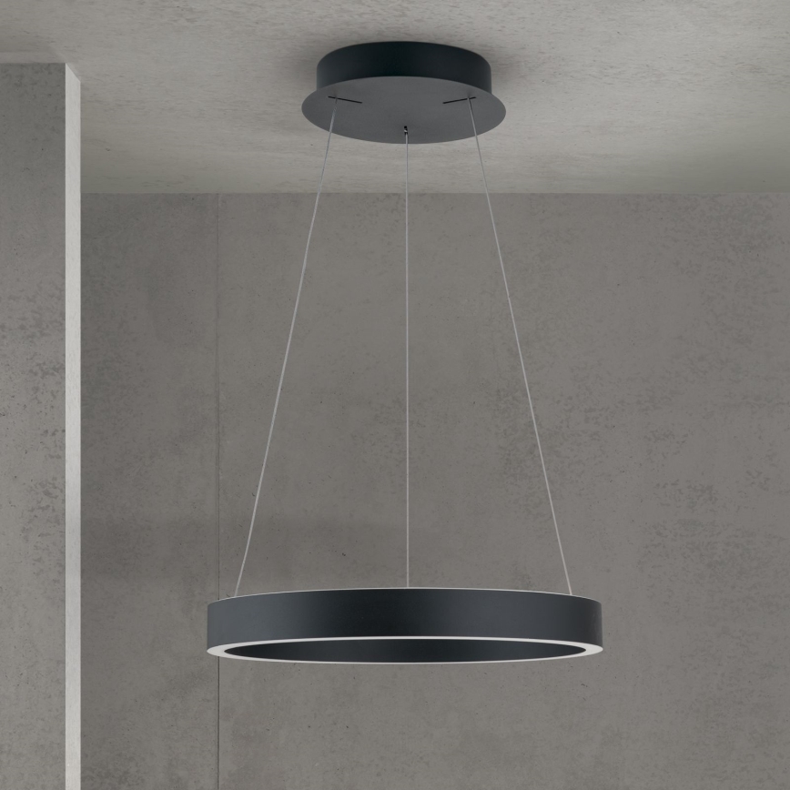 LED luster na sajli s funkcijom prigušivanja KOLK LED/40W/230V 2700/3000/4000K promjer 40 cm crna