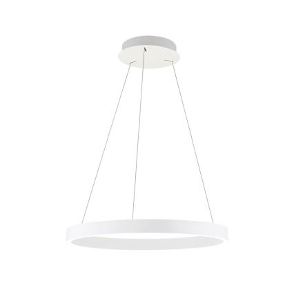 LED luster s mogućnošću prigušivanja na sajli KOLK LED/60W/230V 2700/3000/4000K Ø 60 cm bijela