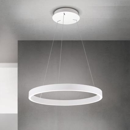 LED luster s mogućnošću prigušivanja na sajli KOLK LED/60W/230V 2700/3000/4000K Ø 60 cm bijela