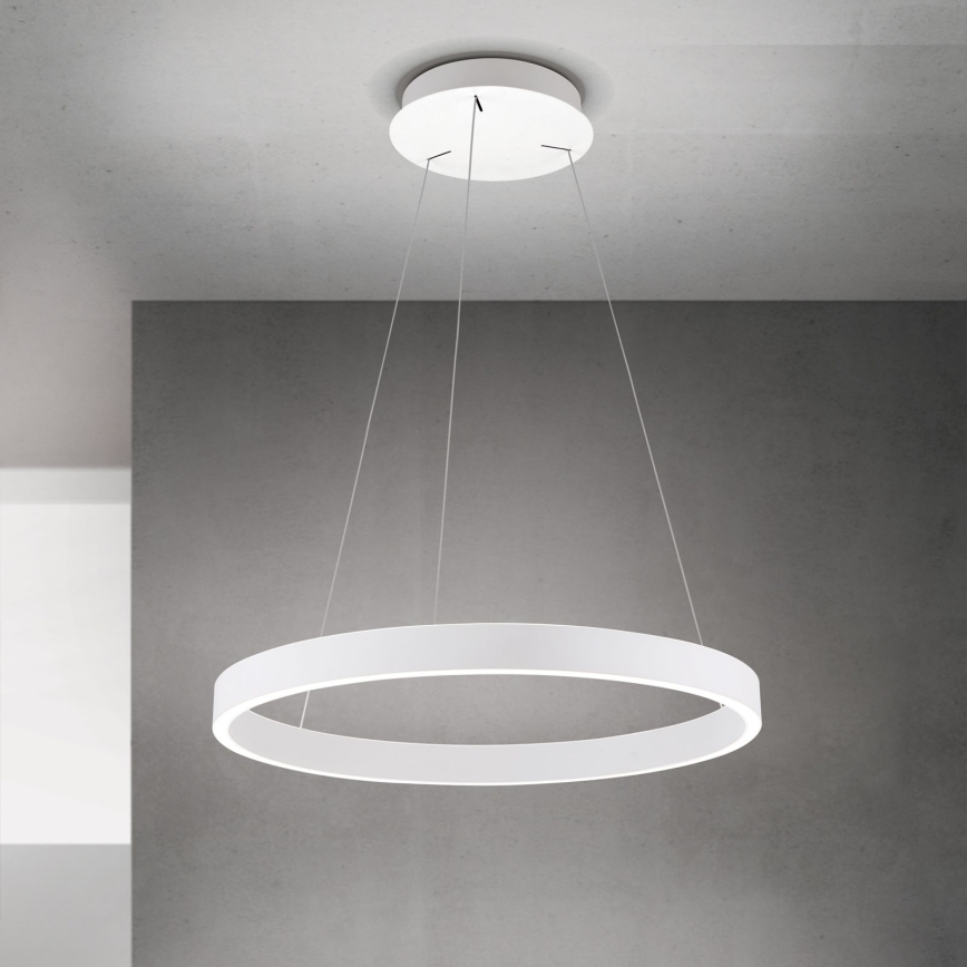 LED luster s mogućnošću prigušivanja na sajli KOLK LED/60W/230V 2700/3000/4000K Ø 60 cm bijela