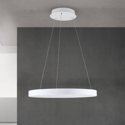 LED luster s mogućnošću prigušivanja na sajli KOLK LED/60W/230V 2700/3000/4000K Ø 60 cm bijela