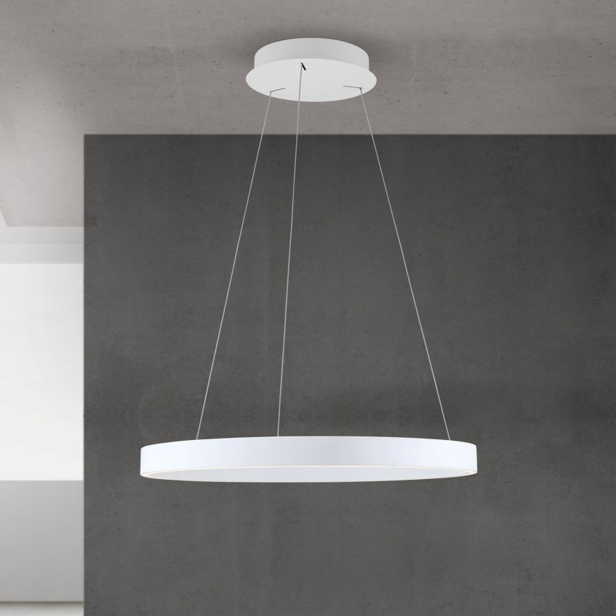 LED luster s mogućnošću prigušivanja na sajli KOLK LED/60W/230V 2700/3000/4000K Ø 60 cm bijela