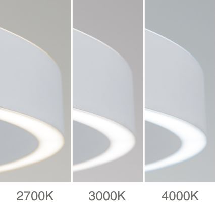 LED luster s mogućnošću prigušivanja na sajli KOLK LED/60W/230V 2700/3000/4000K Ø 60 cm bijela
