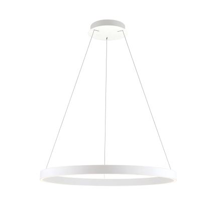 LED luster na sajli s mogućnošću prigušivanja KOLK LED/80W/230V 2700/3000/4000K Ø 80 cm bijela
