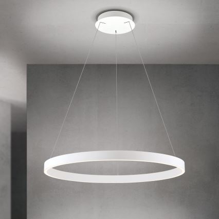 LED luster na sajli s mogućnošću prigušivanja KOLK LED/80W/230V 2700/3000/4000K Ø 80 cm bijela