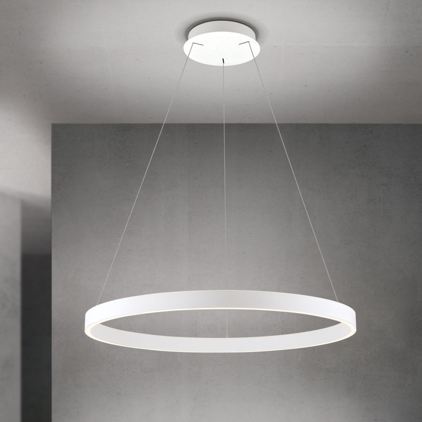 LED luster na sajli s mogućnošću prigušivanja KOLK LED/80W/230V 2700/3000/4000K Ø 80 cm bijela