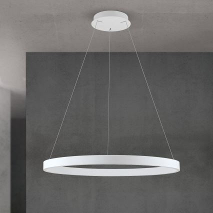 LED luster na sajli s mogućnošću prigušivanja KOLK LED/80W/230V 2700/3000/4000K Ø 80 cm bijela