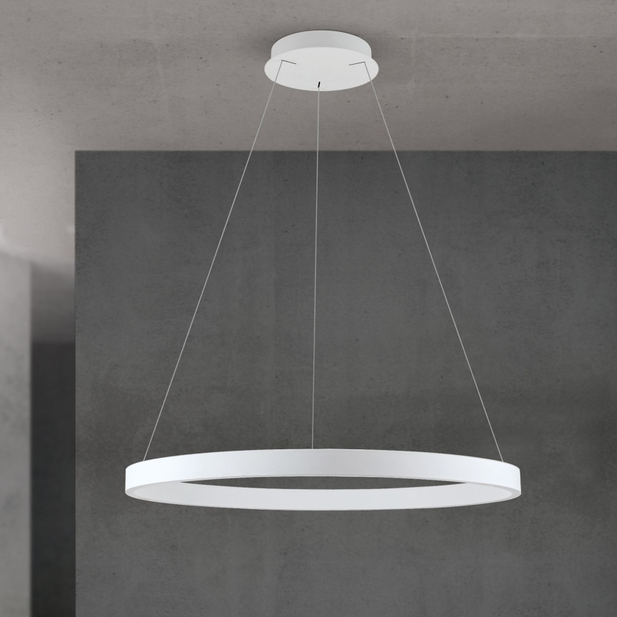LED luster na sajli s mogućnošću prigušivanja KOLK LED/80W/230V 2700/3000/4000K Ø 80 cm bijela