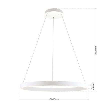 LED luster na sajli s mogućnošću prigušivanja KOLK LED/80W/230V 2700/3000/4000K Ø 80 cm bijela