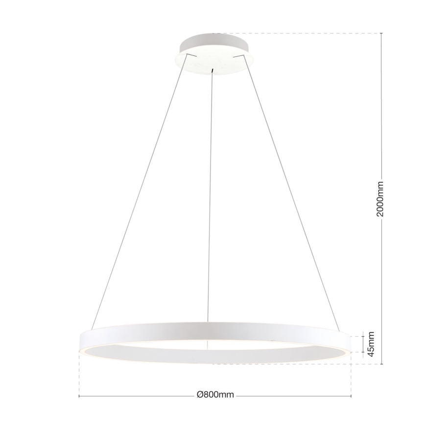 LED luster na sajli s mogućnošću prigušivanja KOLK LED/80W/230V 2700/3000/4000K Ø 80 cm bijela