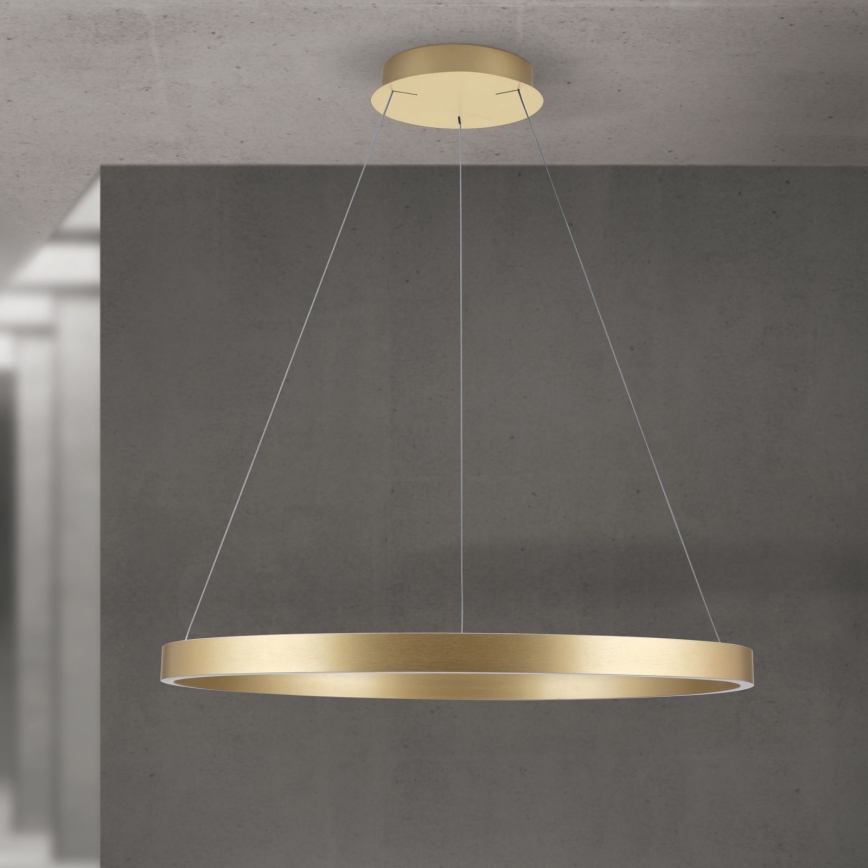 LED luster na kablu s mogućnošću prigušivanja KOLK LED/80W/230V 2700/3000/4000K Ø 80 cm zlatni