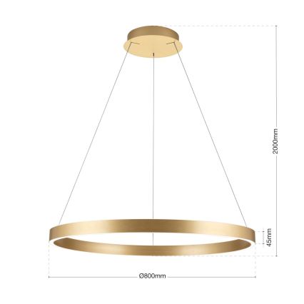 LED luster na kablu s mogućnošću prigušivanja KOLK LED/80W/230V 2700/3000/4000K Ø 80 cm zlatni