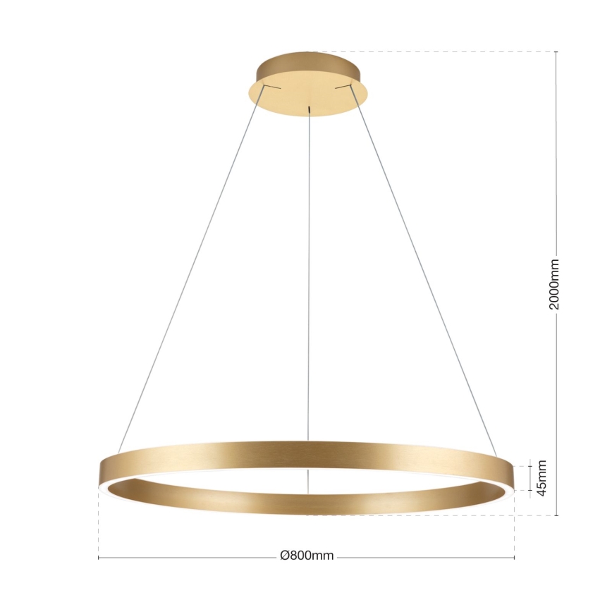 LED luster na kablu s mogućnošću prigušivanja KOLK LED/80W/230V 2700/3000/4000K Ø 80 cm zlatni