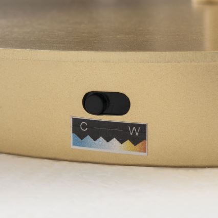 LED podna lampa s prigušivanjem KOLK LED/40W/230V 2700/4000K zlatna