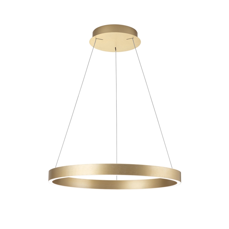 LED luster s mogućnošću prigušivanja na sajli KOLK LED/60W/230V 2700/3000/4000K promjer 60 cm zlatni