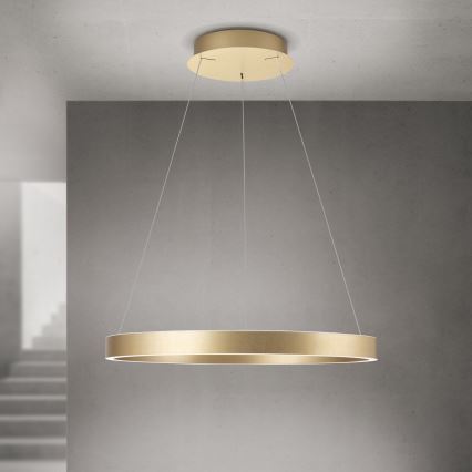LED luster s mogućnošću prigušivanja na sajli KOLK LED/60W/230V 2700/3000/4000K promjer 60 cm zlatni
