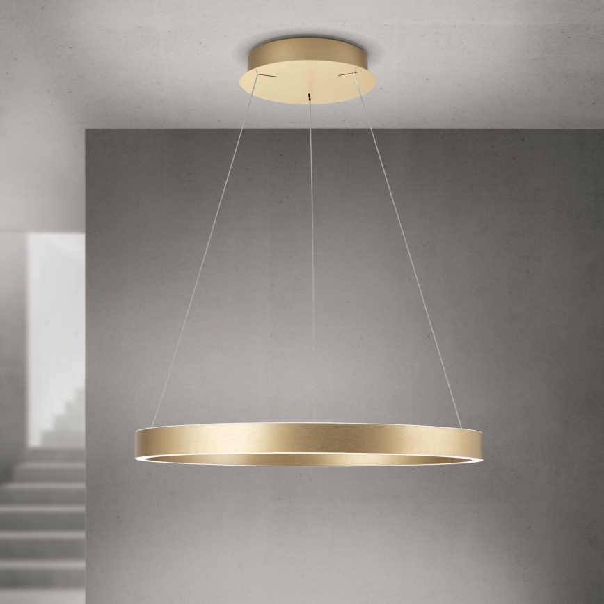 LED luster s mogućnošću prigušivanja na sajli KOLK LED/60W/230V 2700/3000/4000K promjer 60 cm zlatni