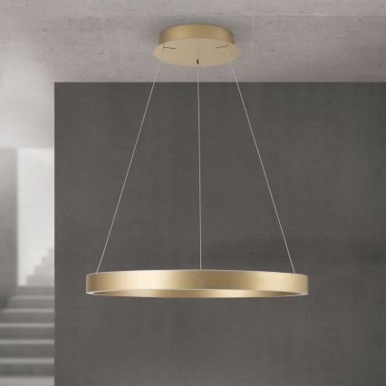 LED luster s mogućnošću prigušivanja na sajli KOLK LED/60W/230V 2700/3000/4000K promjer 60 cm zlatni