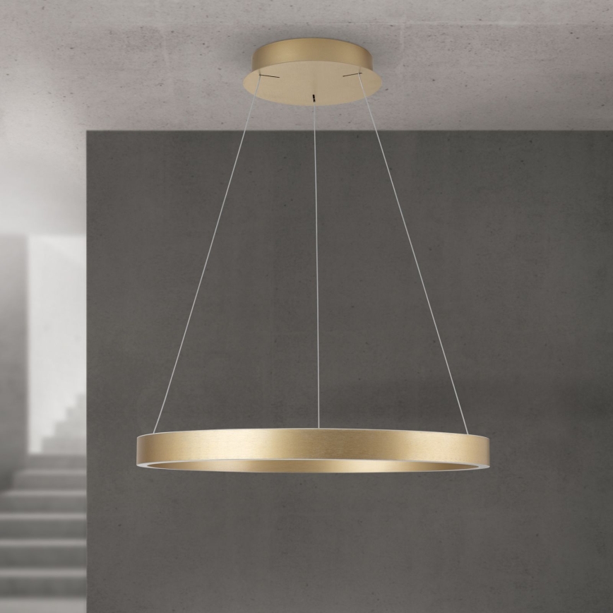 LED luster s mogućnošću prigušivanja na sajli KOLK LED/60W/230V 2700/3000/4000K promjer 60 cm zlatni